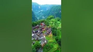 نهاية سورة الزخرف مقام نهاوند