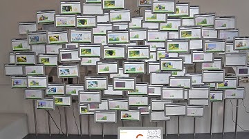 Network Coded Peer to Peer Demo