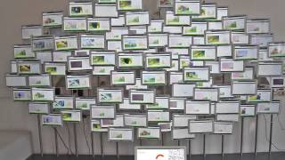 Network Coded Peer to Peer Demo