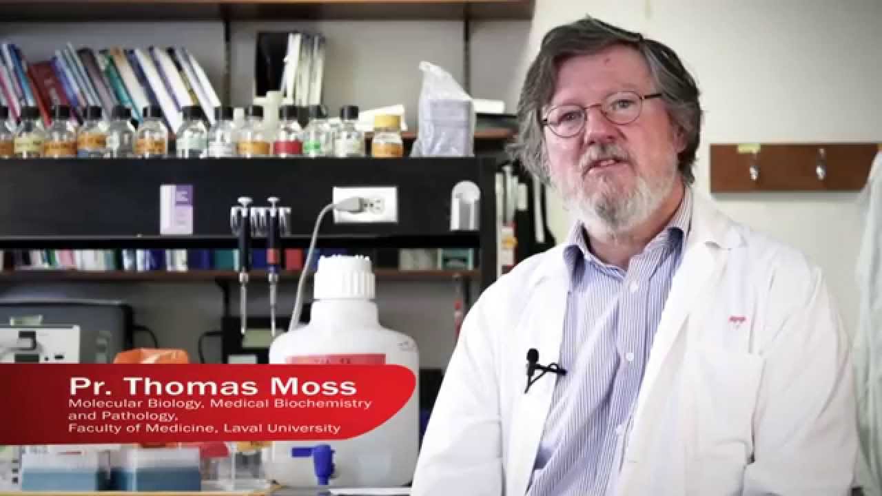 S.Cohen Suits For The Cure / Cancer Research Society Video