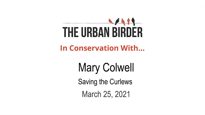 In Conservation With Mary Colwell