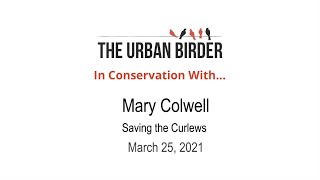 In Conservation With… Mary Colwell