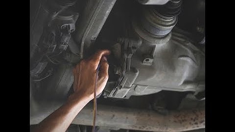 Understanding the Importance of Differential Fluid