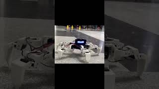 Hexapod #robot #iitdelhi #esp32 #reinforcement