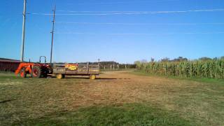 Mayfield pumpkin patch