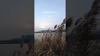 ความสวยงามมาพ้อมกับลมหนาว#korean #vlog #nature #travel