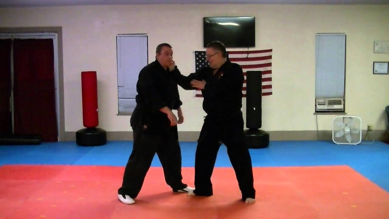 Chinese Kenpo Punch Defense 1 YouTube