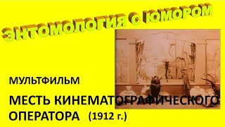 Мультфильм "Месть кинематографического оператора" (1912 г.)