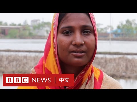 氣候變化的現實：「島上的丈夫都離家工作了」－ BBC News 中文