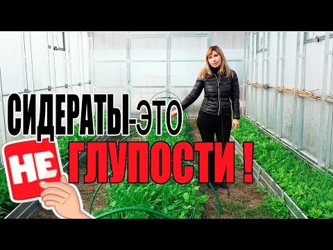 НЕ ГЛУПОСТИ СИДЕРАЦИИ!ИЛИ ПОЧЕМУ СИДЕРАТЫ ВАМ ОЧЕНЬ НУЖНЫ!!!