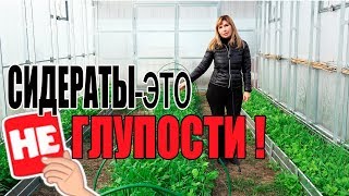 НЕ ГЛУПОСТИ СИДЕРАЦИИ!ИЛИ ПОЧЕМУ СИДЕРАТЫ ВАМ ОЧЕНЬ НУЖНЫ!!!