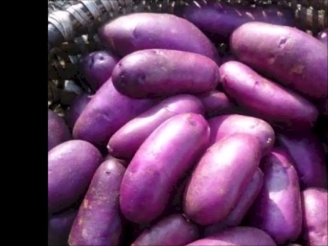 ХОТИТЕ ВЫКОПАТЬ КЛАД?🥔💜💎
