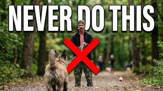 Most Dog Owners Skip THIS Step… And It Ruins Recall!
