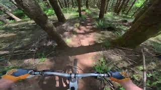 Cranked by the hog- McDonald Forest MTB