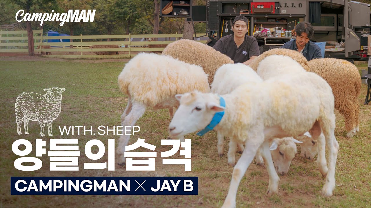 (ENG)캠핑중인데 갑자기 얘네 어디서 나타난 거지..? (휘바핀란드 1편)