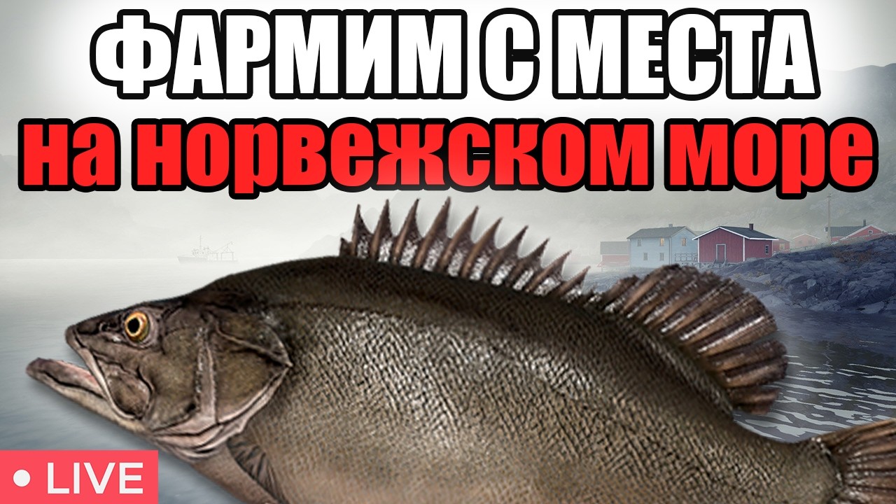 РР4 СТРИМ • ГДЕ ЛУЧШЕ ФАРМИТЬ СЕРЕБРО НА МОРЕ ? ПРОВЕРЯЕМ КЛЕВ •   РУССКАЯ РЫБАЛКА 4