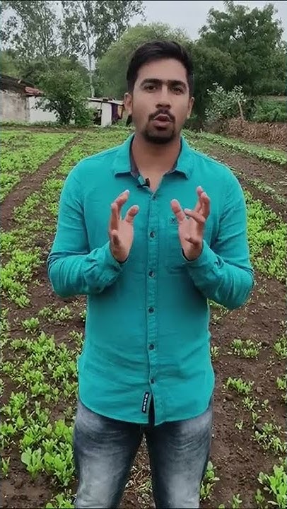 How Many Bigha In One Acre shorts how-much-dismil-katha-bigha