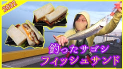 ぴすけとみみ 福岡堤防釣りvlog Youtube
