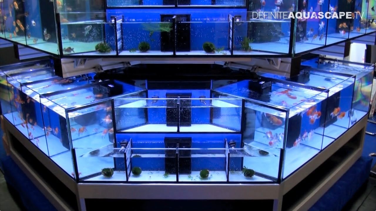 Aquarium Ideas from InterZoo 2012 (pt. 18) - Oceanlife 