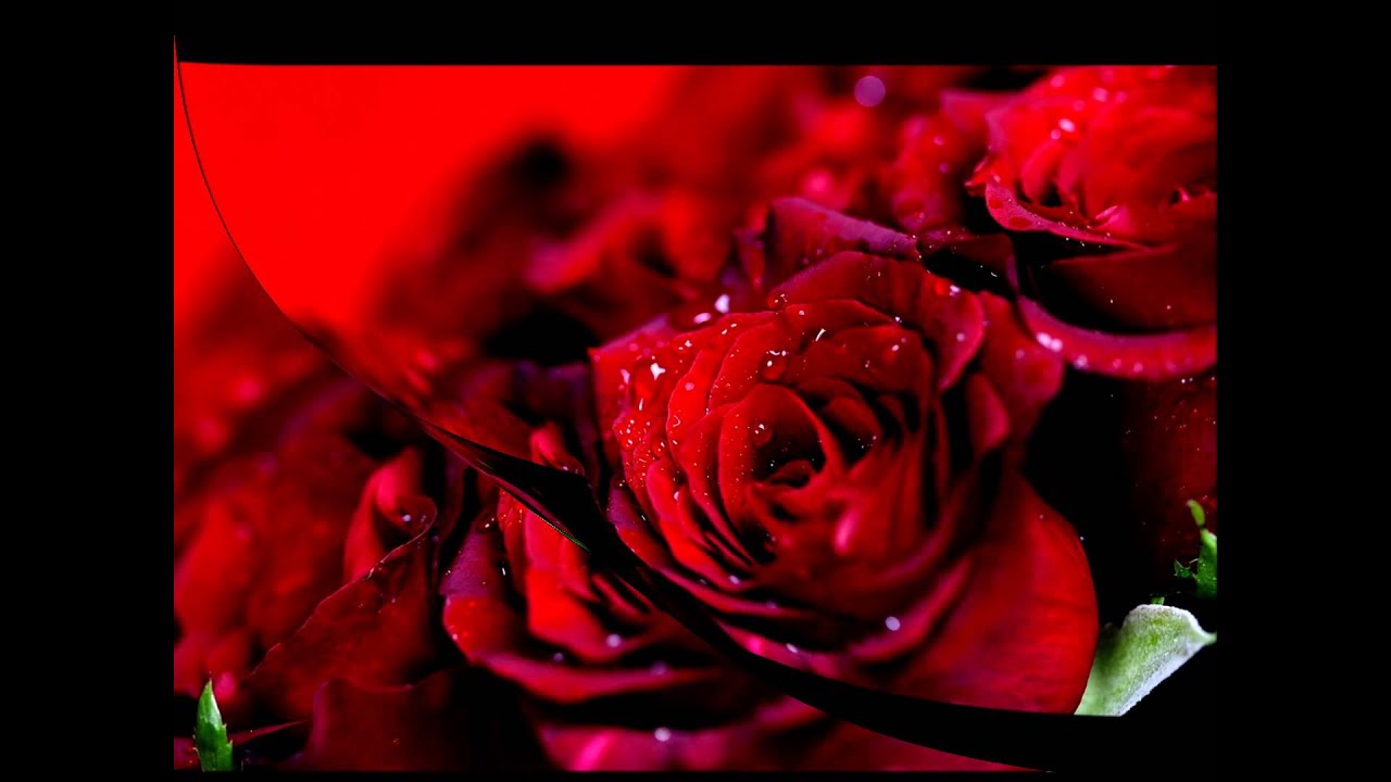 Ervin Lillepea & Siiri Känd - Amore Mio