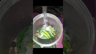 coconut 🥥 chatney with idli.plese subscribe my channel #food #recipe #like#subscribe #youtube