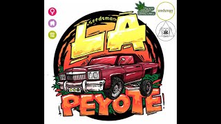 TempleGrower Grows Seedsman Seeds' LA Peyote Kush - Day 74/Day 27 flower