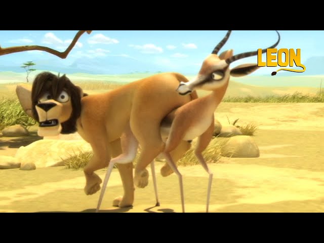 Dandelion | Leon the Lion | 75' Compilation | Crazy animals - YouTube