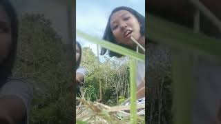 Last Tree Planting. Just the 3 of us, FCOF/Licean Scholars