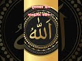 আল্লাহ তুমি সবাইকে মাফ করে দাও🕋🥺 #islamicvideo #shortvideo #viral #shorts