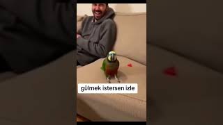 Gülmek Istersen Izle.