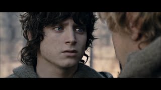 lotr but it's just vaguely homoerotic moments between frodo and sam
