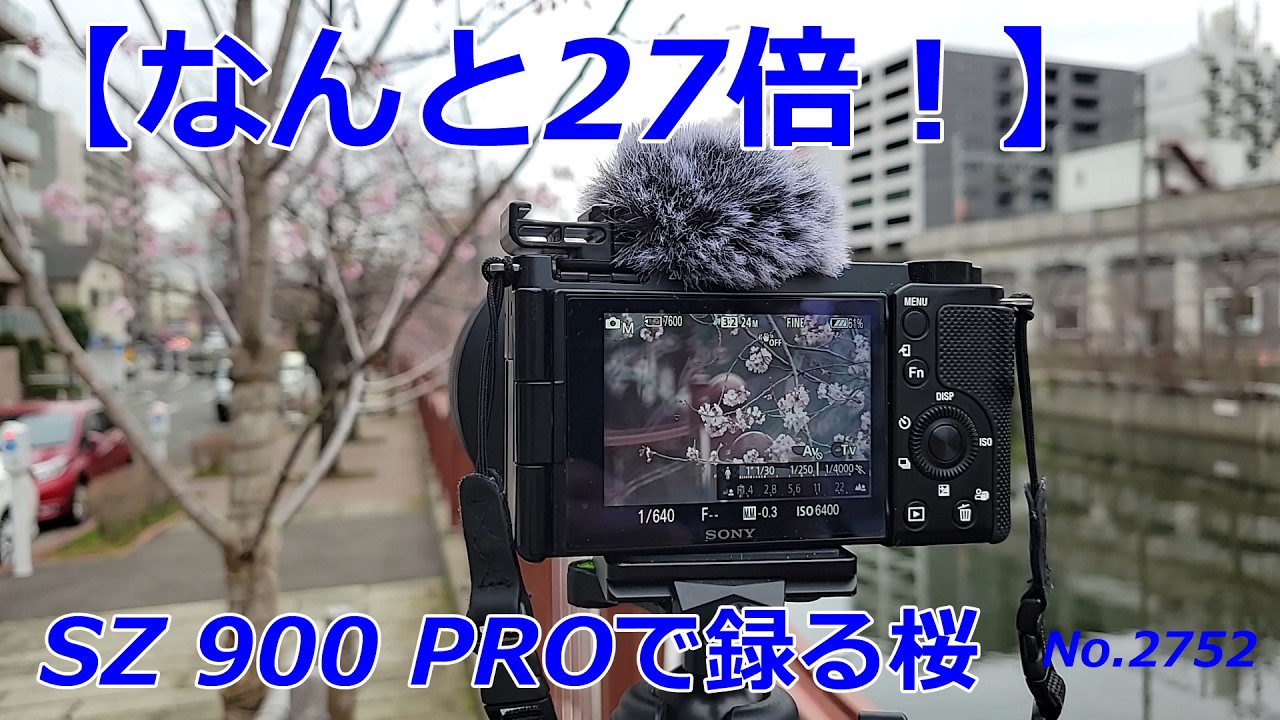 cherry様 An incredible 27x magnification!] Cherry blossoms captured with