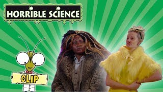 Horrible Science - Meet Your Neighbours | A Visit From Diseases | Science for Kids