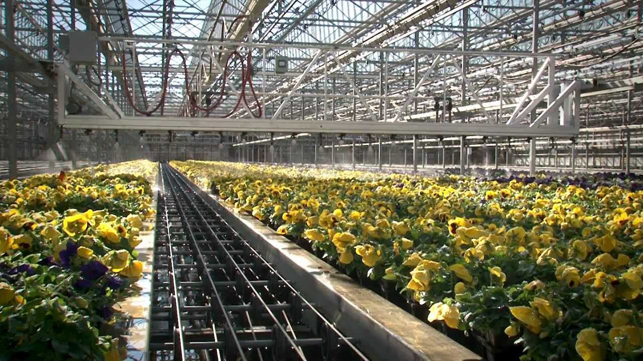 Metrolina Greenhouses 40th Anniversary Youtube