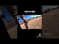 我が家の1歳児大激怒#shorts