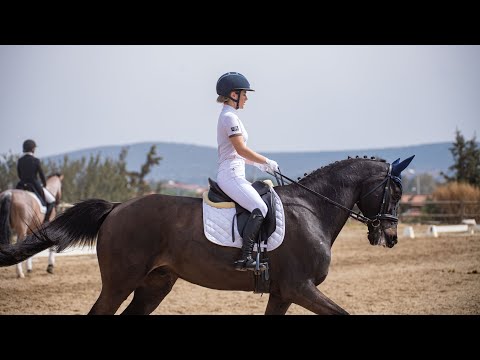 Βίντεο: Τα άλογα και η γυμναστική ενώνονται στους παγκόσμιους ιππικούς αγώνες του FEI