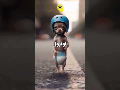 معلممون جونشو بخاطر ما داد