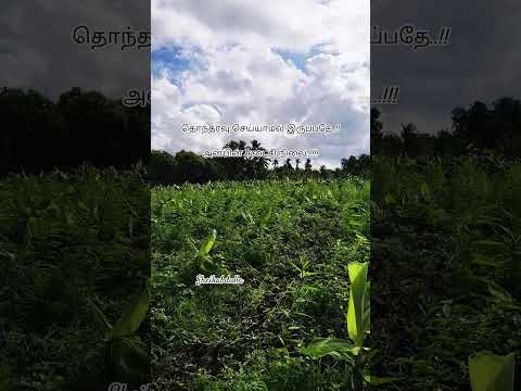 ம ல ப க ம ம கம கட ட ப பட ட ஆட த Trendingshorts Villagelife Vivasayam Ilayarajamelodyhits