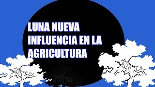 Influence of the phases of the moon on agriculture.