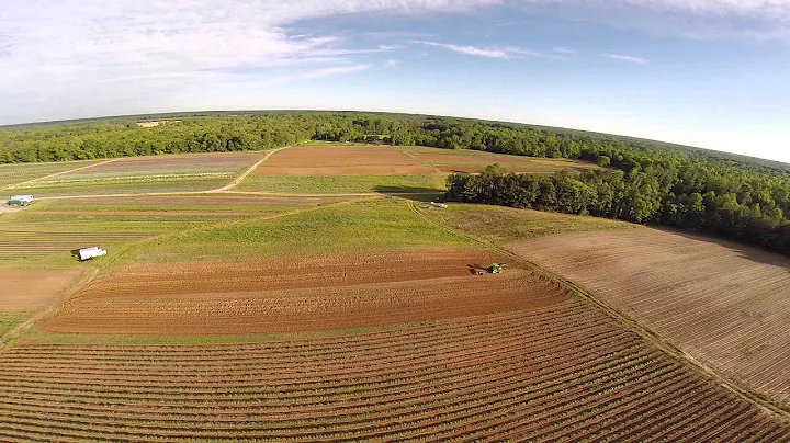 Organic Farm in Hague, VA