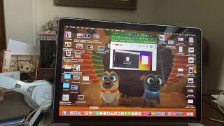 Macintosh Crashes Has Bsod