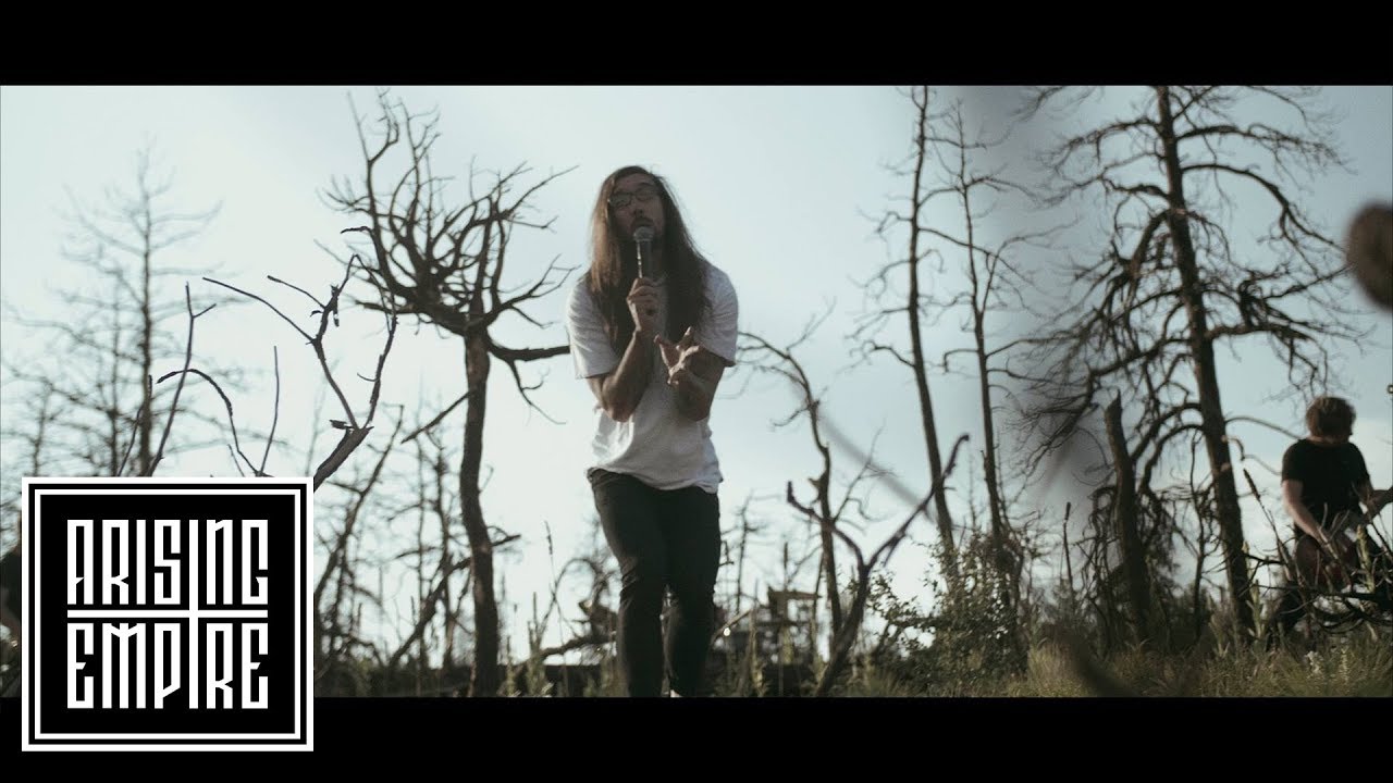 Download ANNISOKAY - Sea Of Trees (OFFICIAL VIDEO)