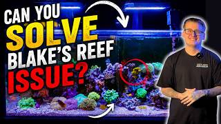 Can You Solve Blake's Reef Mystery Issue???