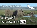 WILDwatch Live | 06 October, 2020 | Morning  Safari | South Africa
