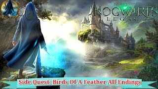 Hogwarts Legacy Side Quest: Birds Of A Feather All Endings (Quick & Easy)