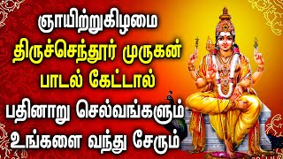 திருச்செந்தூர் முருகன் பாடல் கேட்டால் பதினாறு செல்வங்களும் வந்து சேரும் | Lord Murugan Tamil Songs