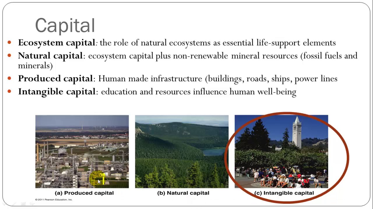 Economics and Environmental Policy