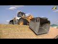 Maishäckseln XXL Maisernte 2023 mit 22 Traktoren, 3 Häcksler, 3 Radlader &amp; Walze Corn Harvest Press