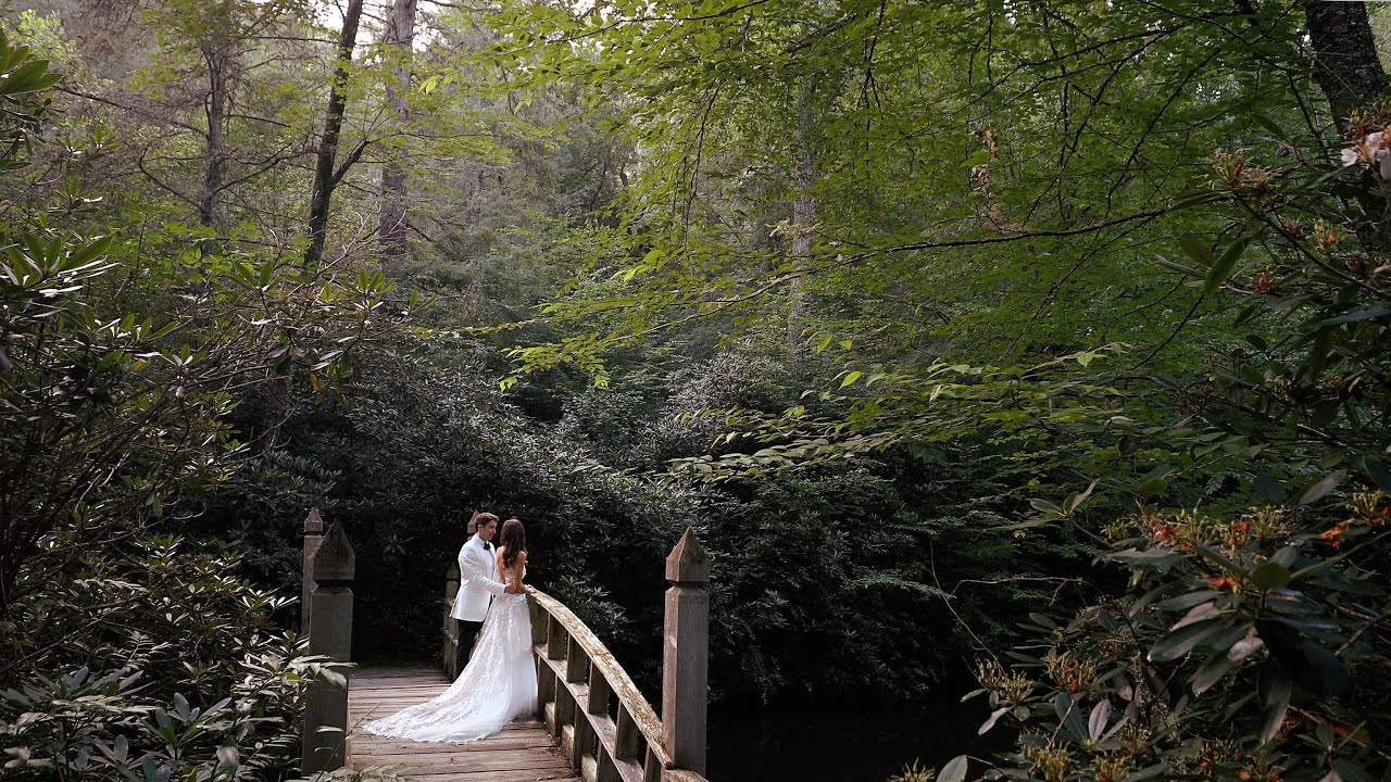 Couple Meets in Unlikely Scenario, The Farm at Old Edwards Wedding Film | Emma & Jake