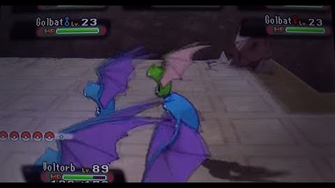 [FAIL] Random Shiny Golbat/Nosféralto